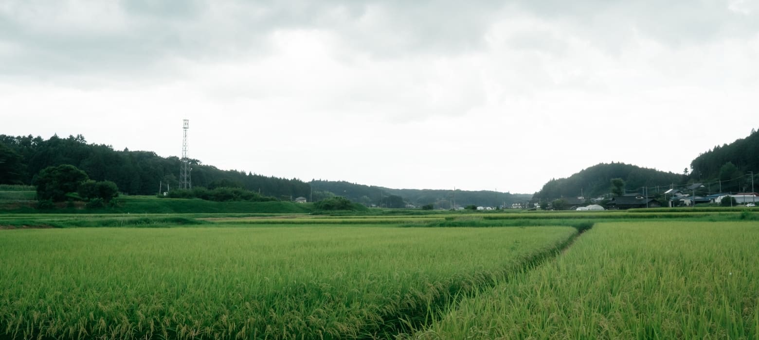 那須エリアについて背景画像