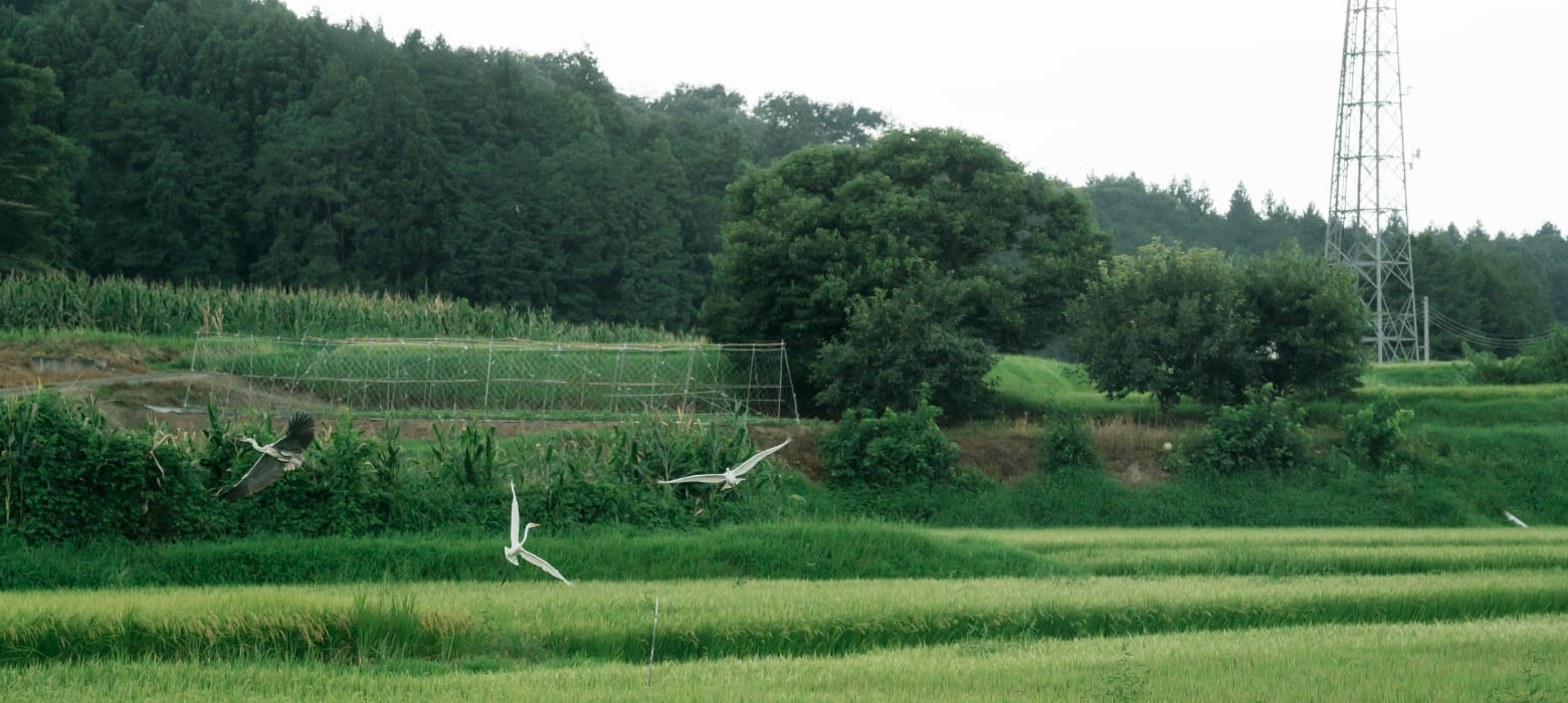 那須エリアについて背景画像