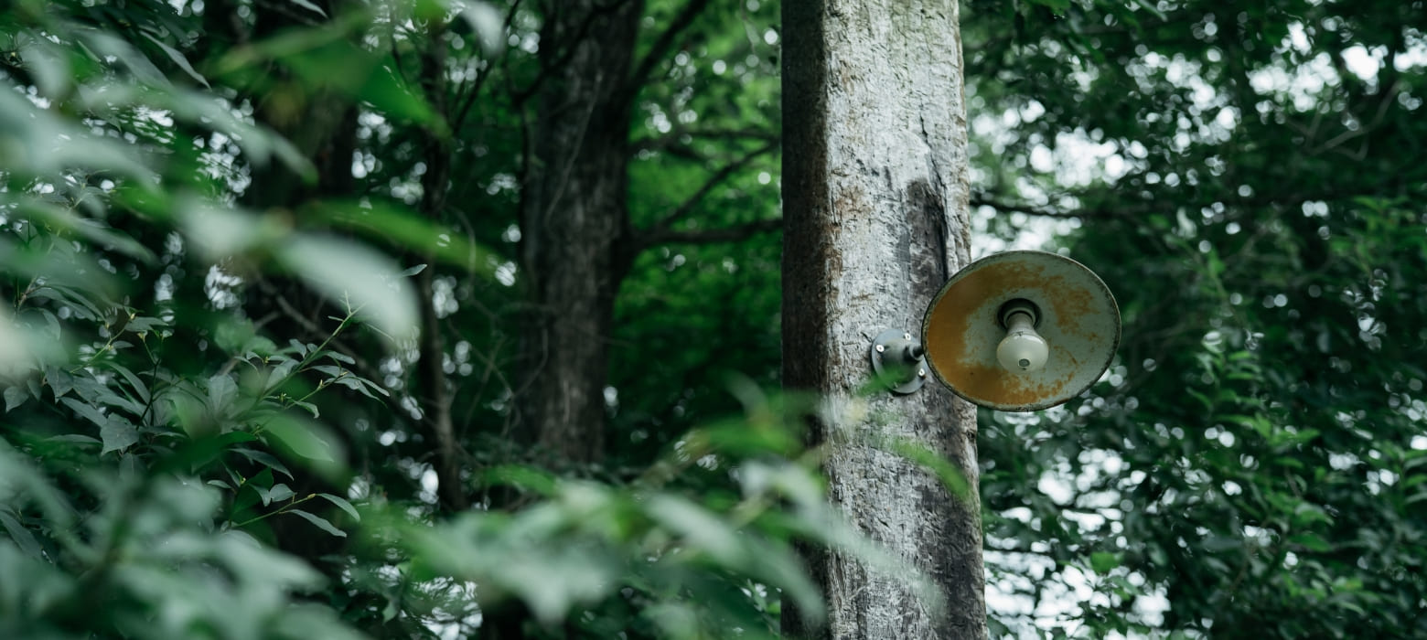 那須エリアについて背景画像